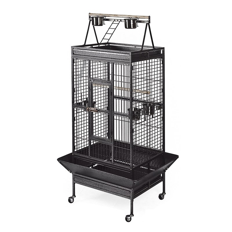 large bird cages for parrots