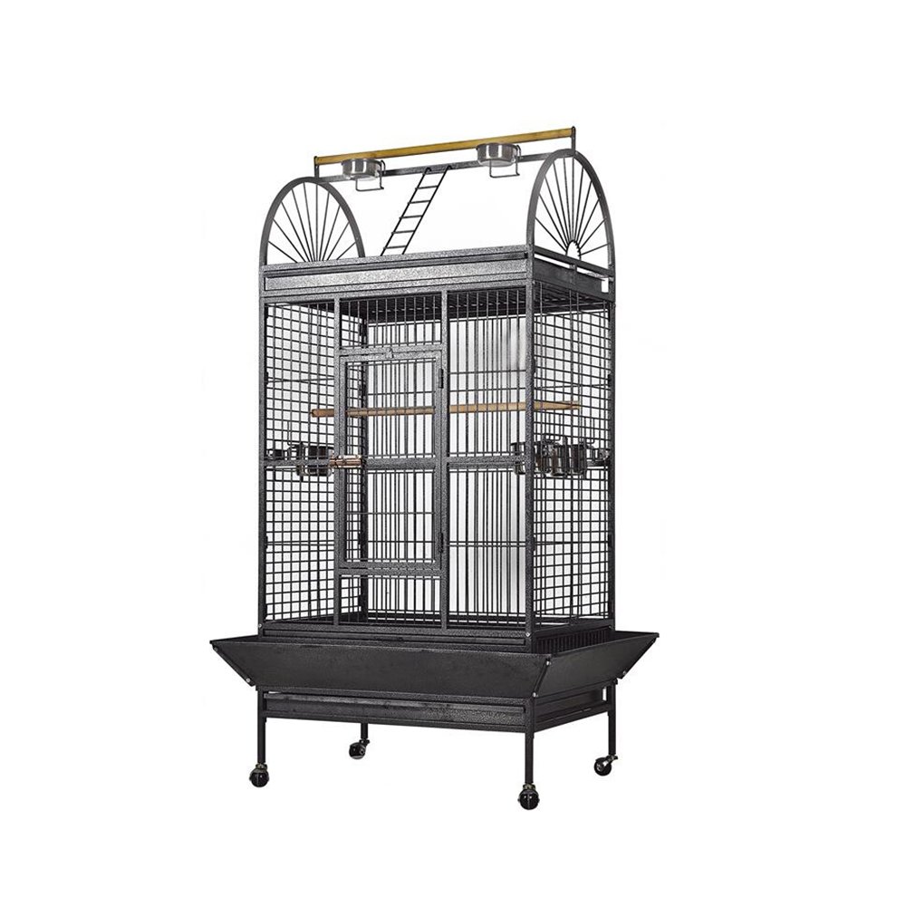 parrot bird cage